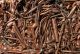 Copper Scrap